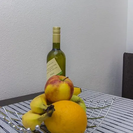 Zoran 피로바츠